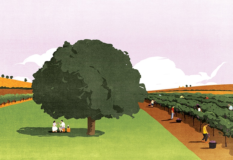 Wine Joins the 2020 Debate Over Privilege and Justice (The New York Times) - Andrea Ucini - Anna Goodson Illustration Agency