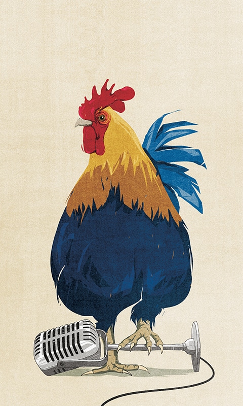 A rotten media culture (Weekend Avisen) - Andrea Ucini - Anna Goodson Illustration Agency