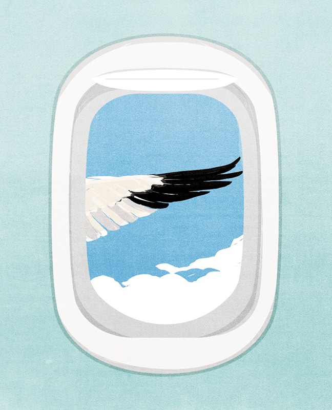 Stan Deal on creating a safe environment for travelers (American Way Magazine) - Andrea Ucini - Anna Goodson Illustration Agency