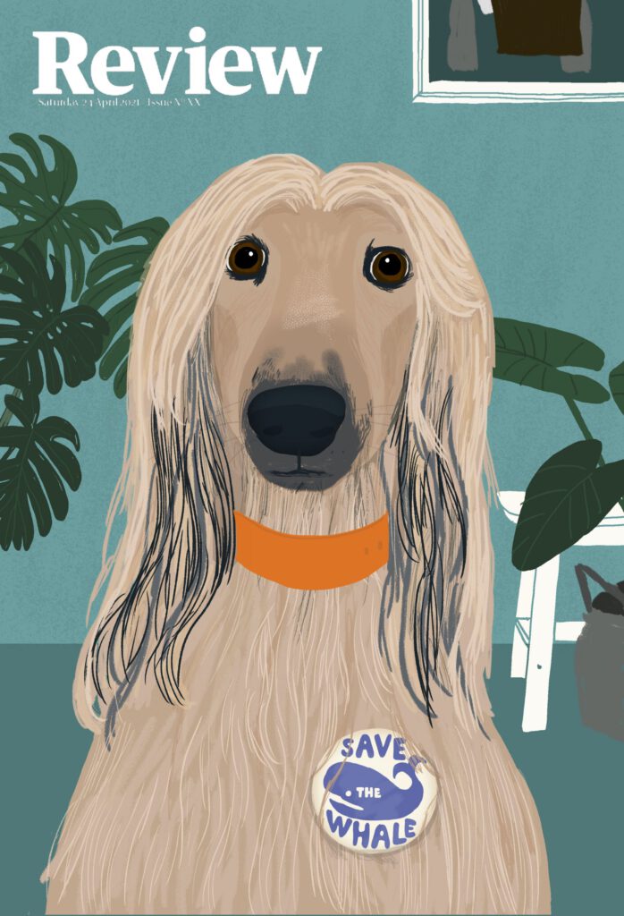The Guardian Cover Illustration - Hanna Melin - Anna Goodson Illustration Agency