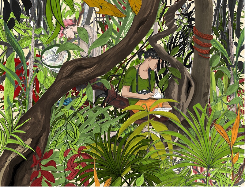 Perspective Magazine - Clare Mallison - Anna Goodson Illustration Agency