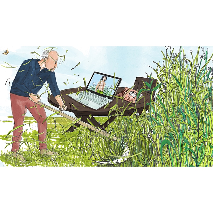 Financial Times Sycthing - Clare Mallison - Anna Goodson Illustration Agency