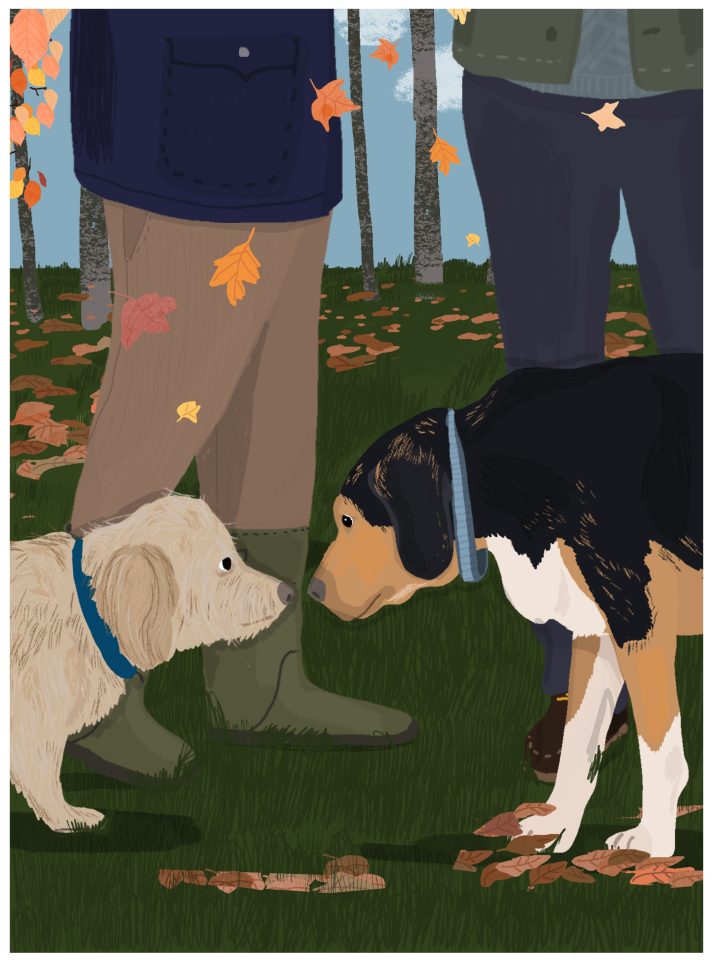 dog book
