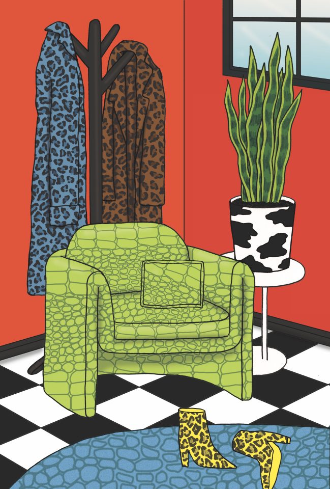 snake plant
