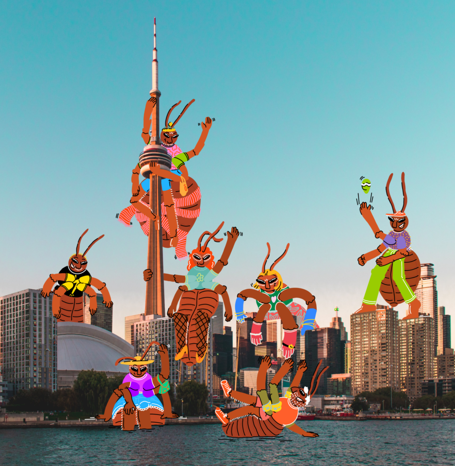 Bedbugs in Toronto
