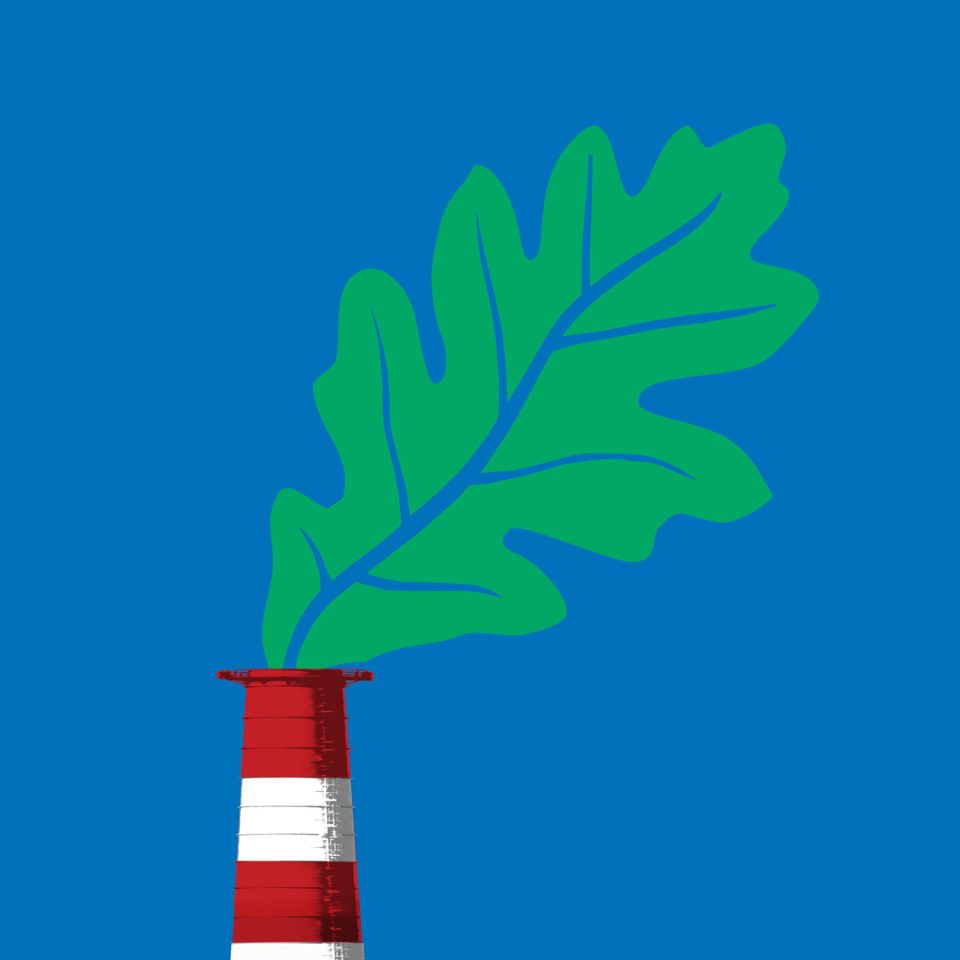 Chimney – Leaf