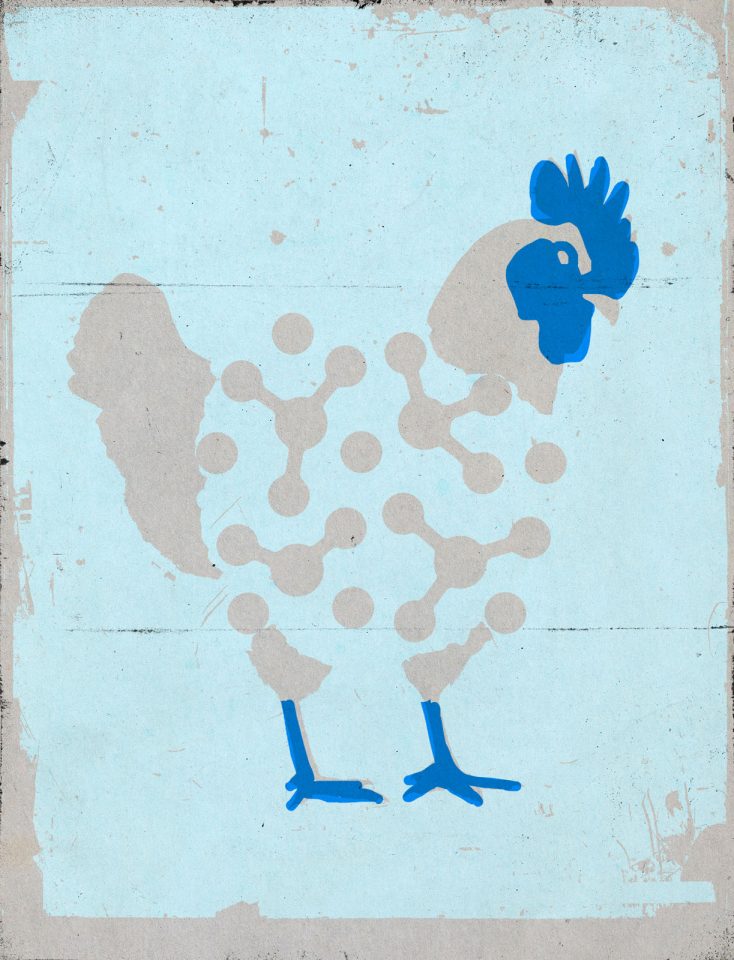 Cultivated Chicken