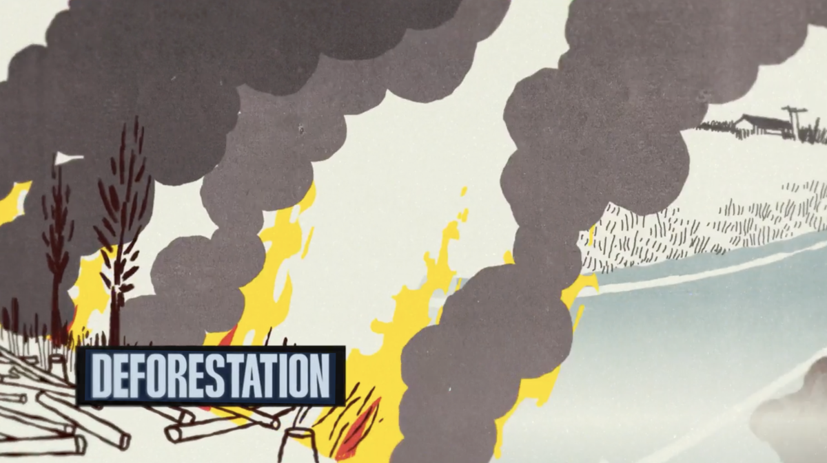 Preferred by Nature / one minute animation - Martin Tognola - Anna Goodson Illustration Agency