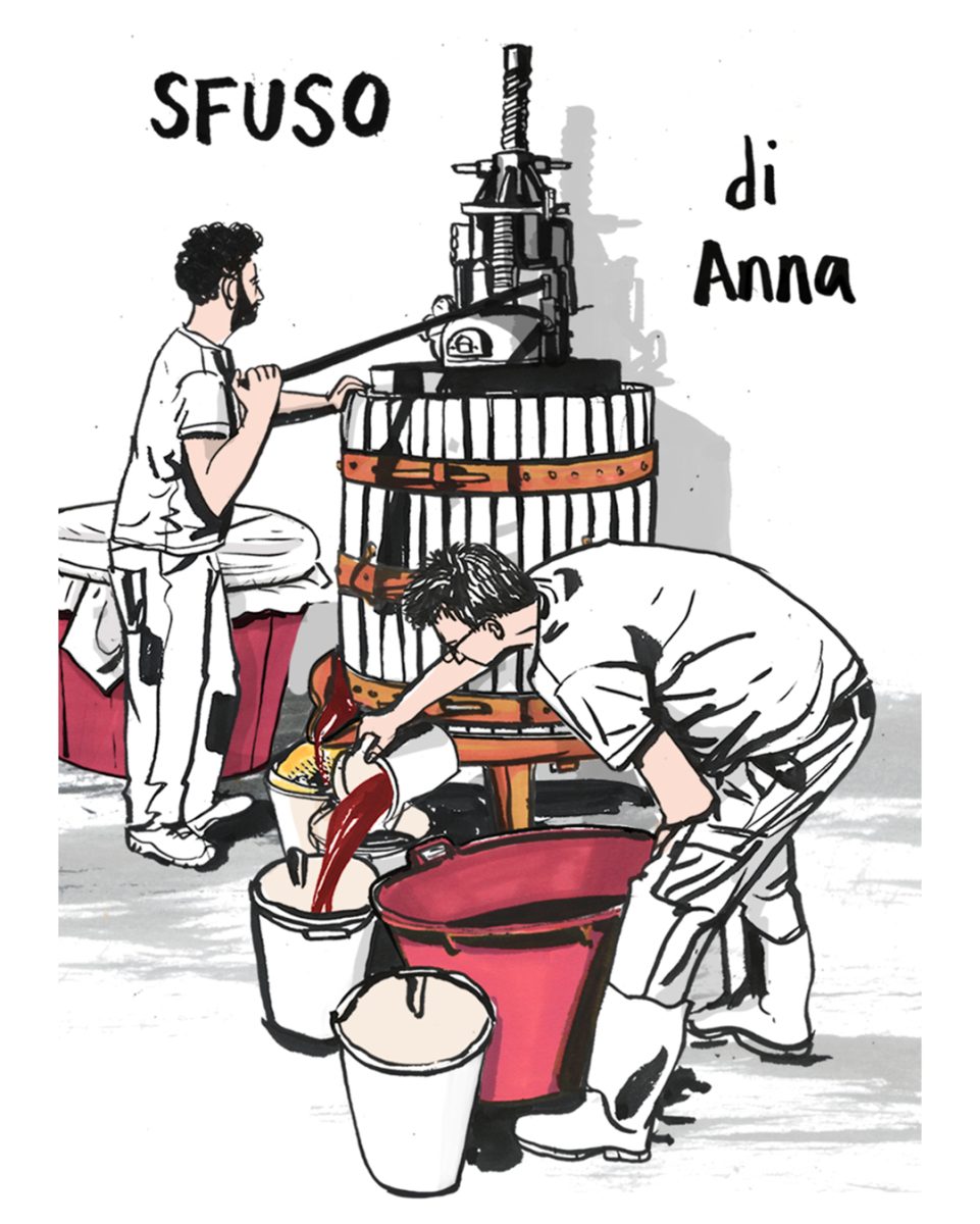 Vino Di Anna / Sfuso Di Anna - Clare Mallison - Anna Goodson Illustration Agency