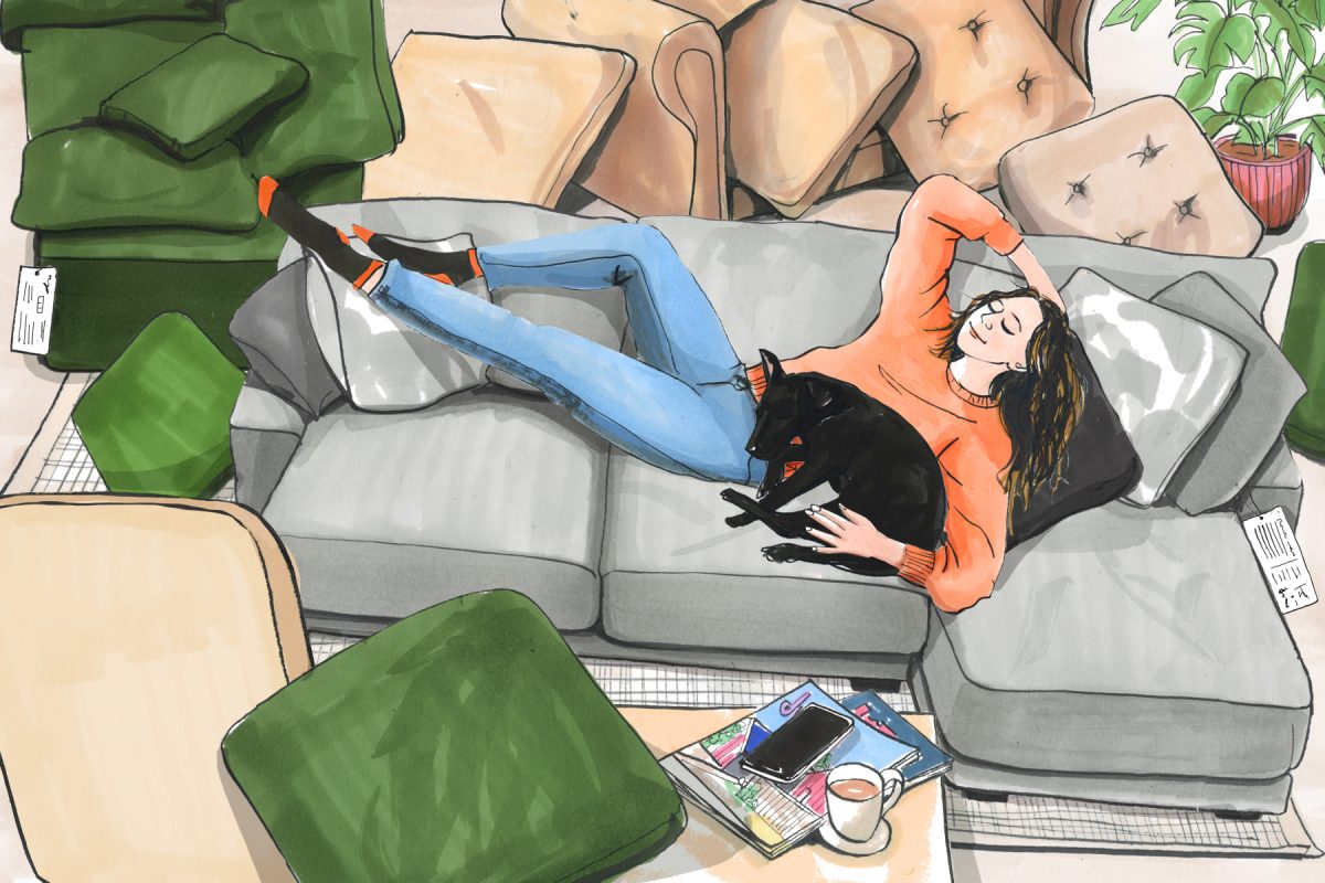 DWELL / My big-box store sofa does exactly what my DTC sofas didn’t - Clare Mallison - Anna Goodson Illustration Agency