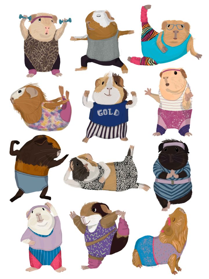 guinea pig aerobic
