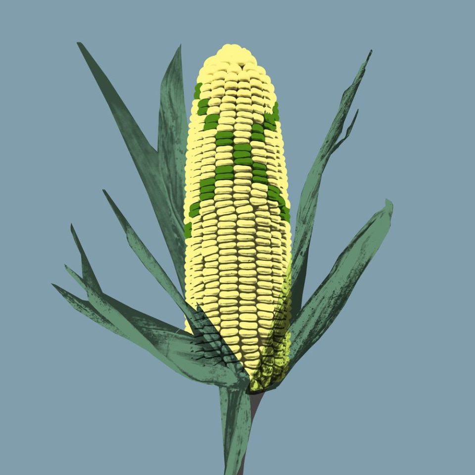 Corn On The Cob