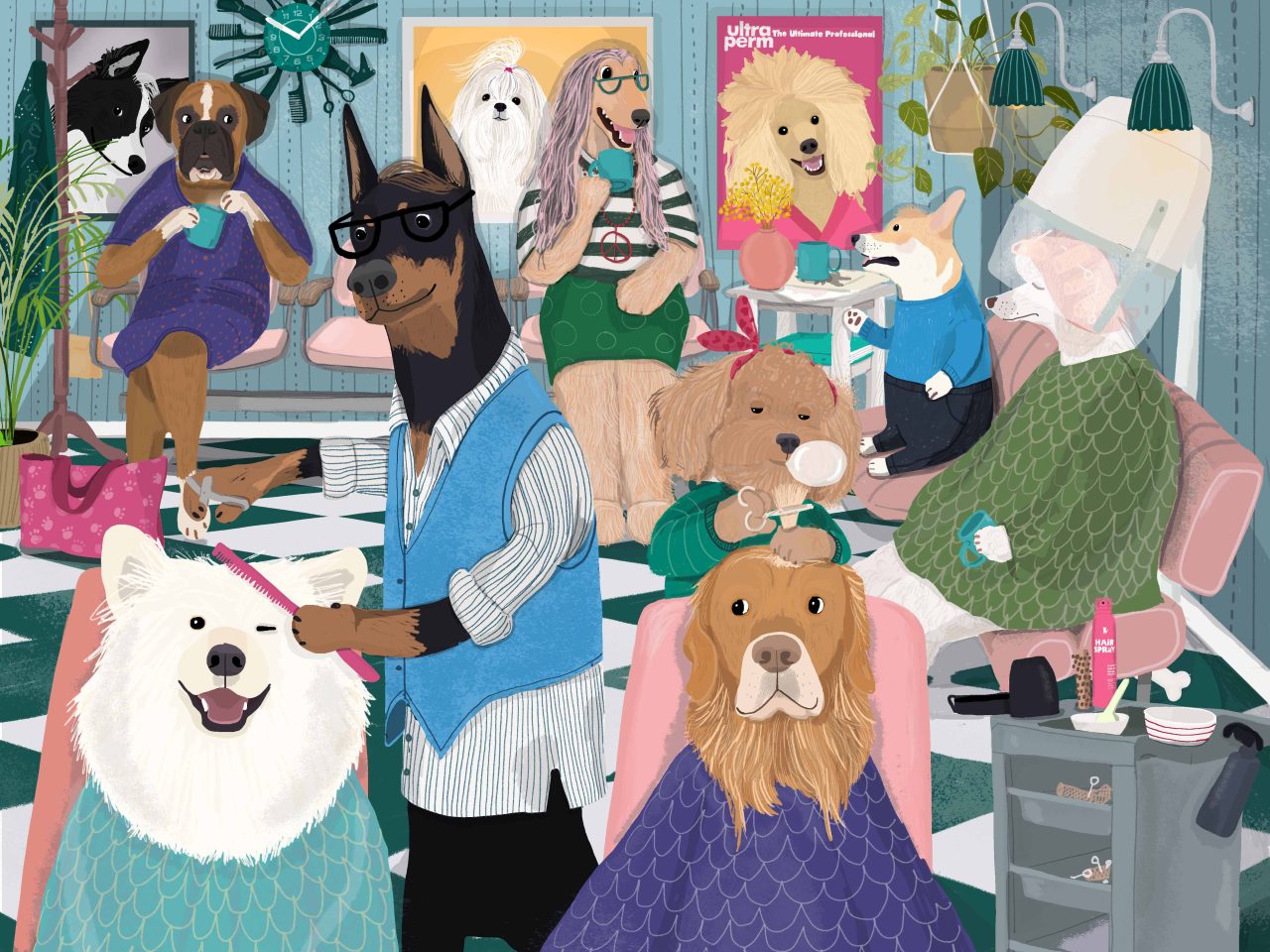 hair dresser dog
