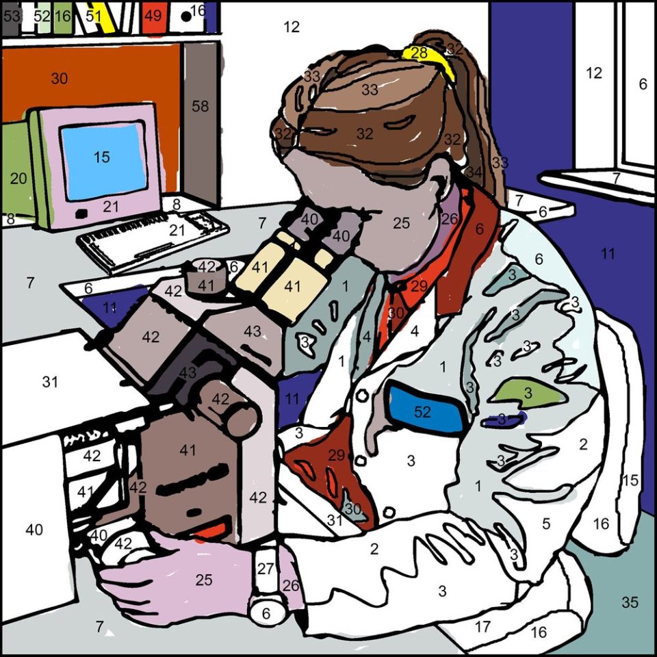 Nat35 – Science by numbers