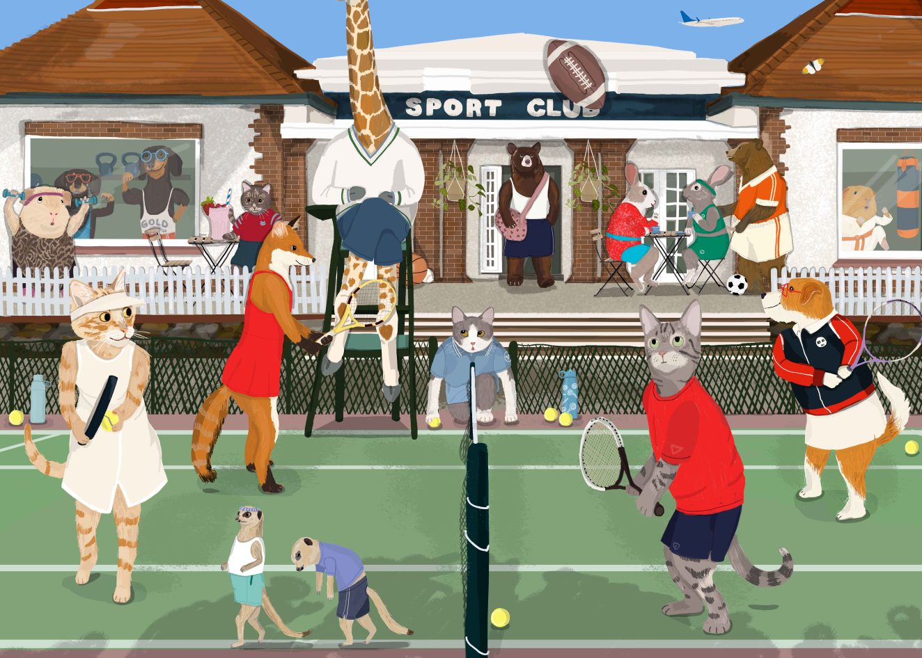 puzzle sport club