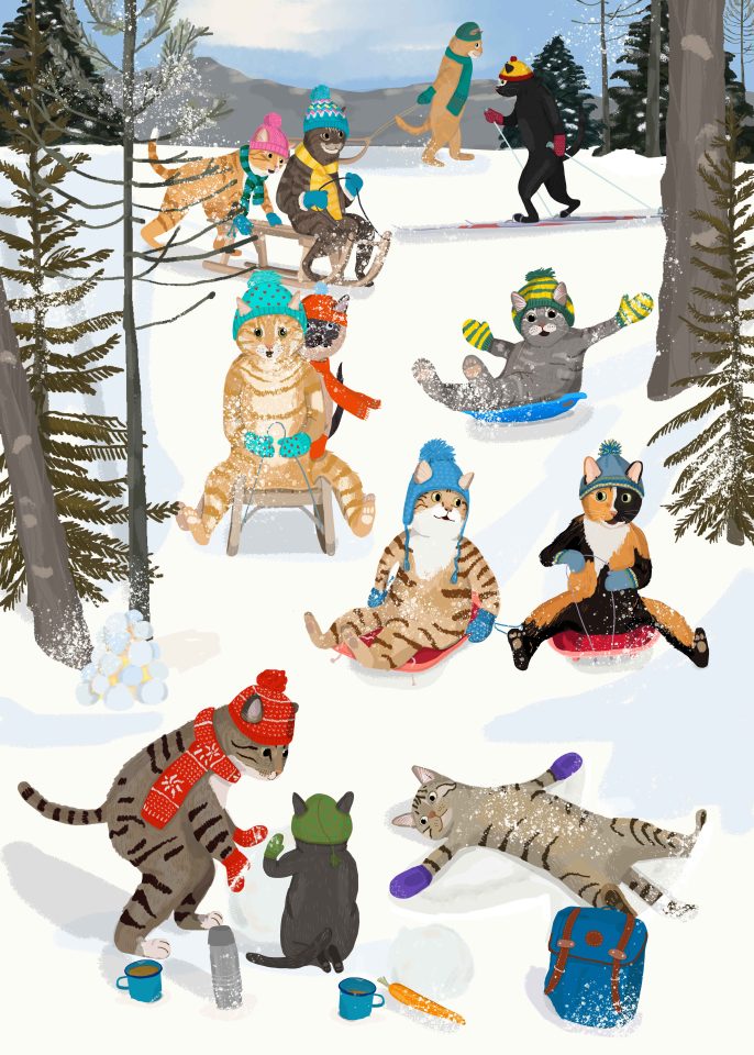 snow cats