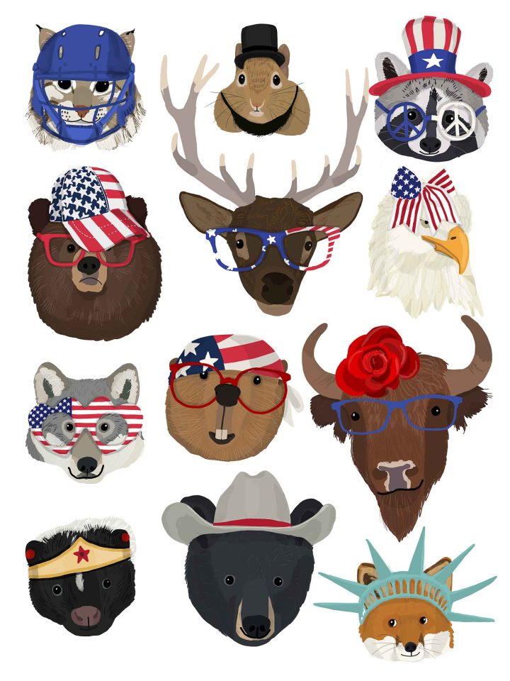 american animals