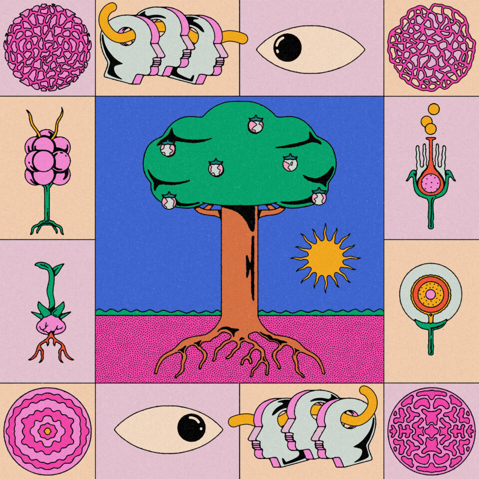 Gaetan Sahsah / Ecocid 2