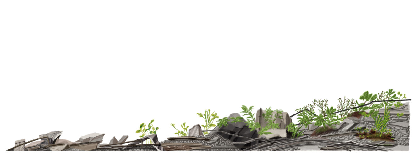 JiYeun Kang / National Geographic / Can Wildflowers Heal the Toxic Mess the L.A. Fires Left Behind?