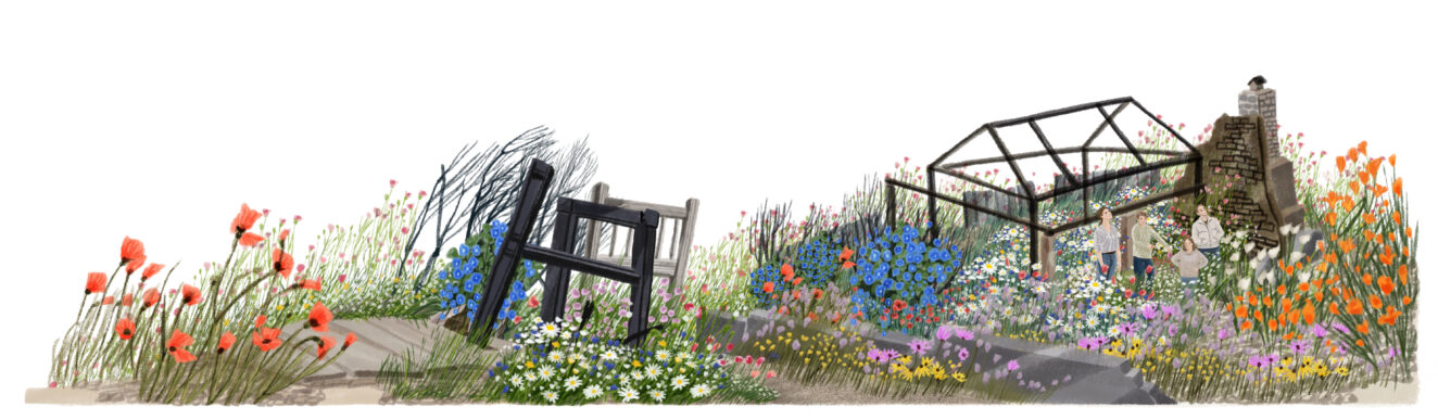 JiYeun Kang / National Geographic / Can Wildflowers Heal the Toxic Mess the L.A. Fires Left Behind?