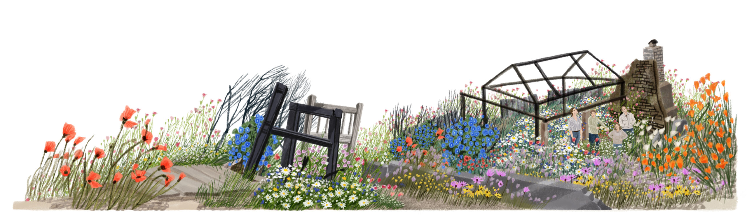 JiYeun Kang / National Geographic / Can Wildflowers Heal the Toxic Mess the L.A. Fires Left Behind?