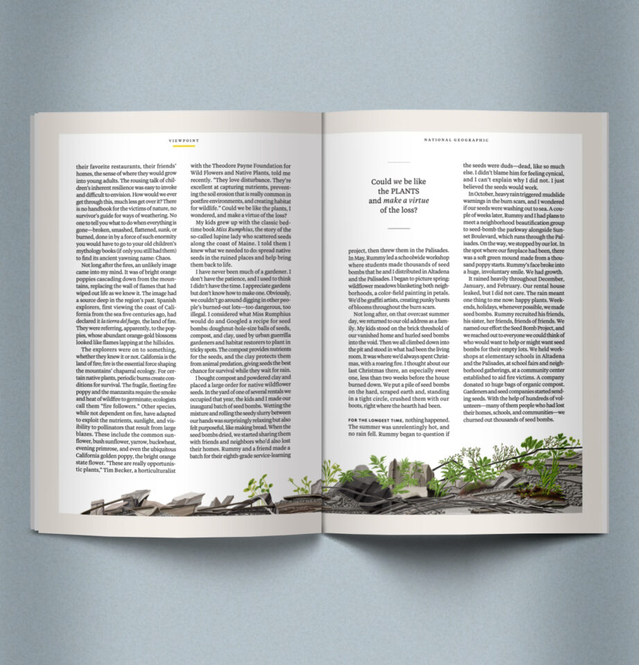 JiYeun Kang / National Geographic / Can Wildflowers Heal the Toxic Mess the L.A. Fires Left Behind?