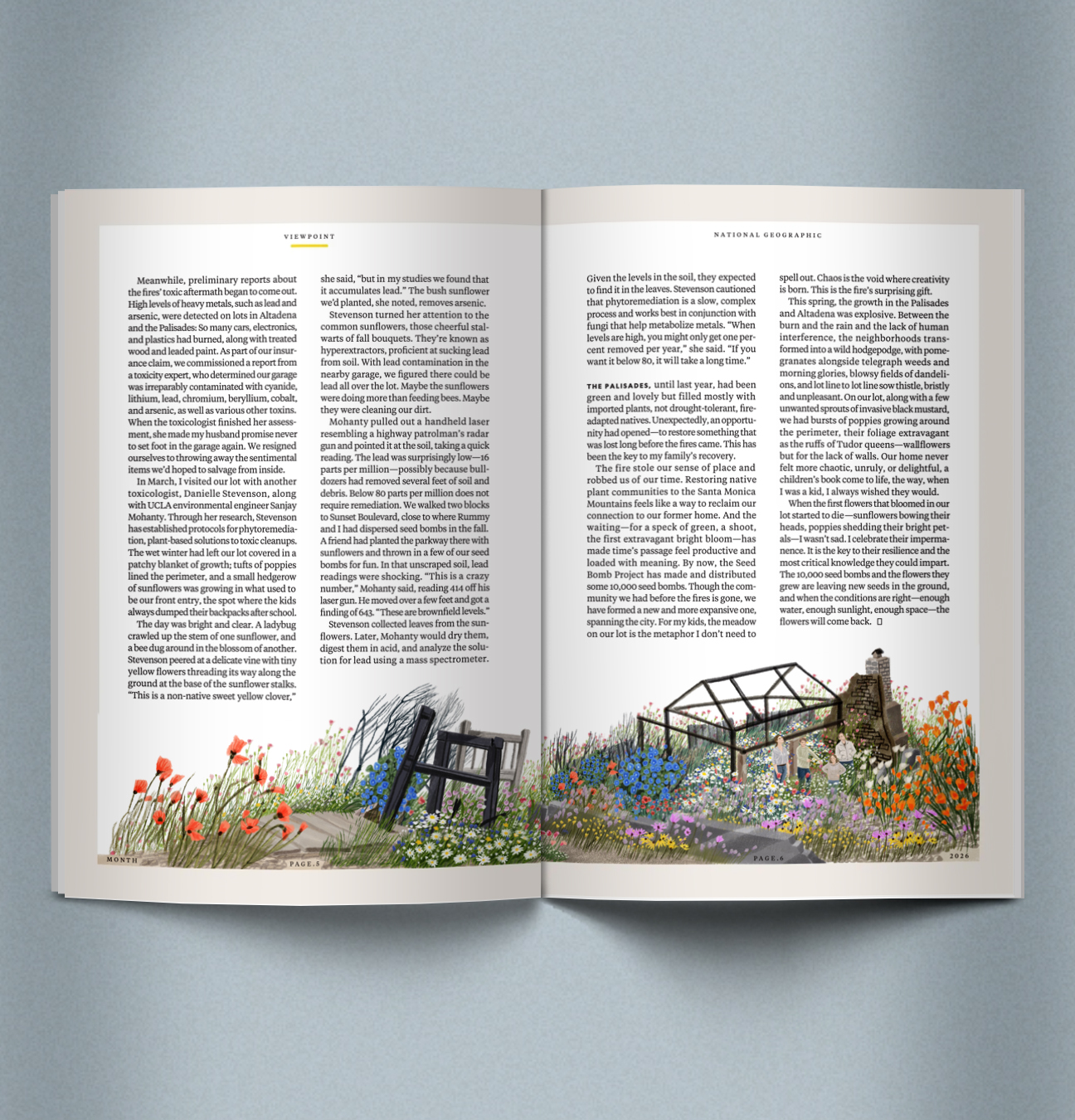 JiYeun Kang / National Geographic / Can Wildflowers Heal the Toxic Mess the L.A. Fires Left Behind?