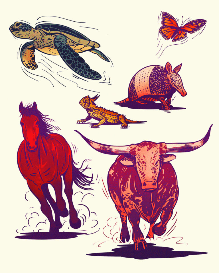 Kotynski / Texas Heritage for Living / State Animals of Texas