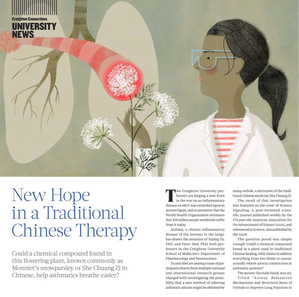 New Hope in a Chinese Traditional Therapy, Creighton University News - Nathalie Dion - Anna Goodson Illustration Agency