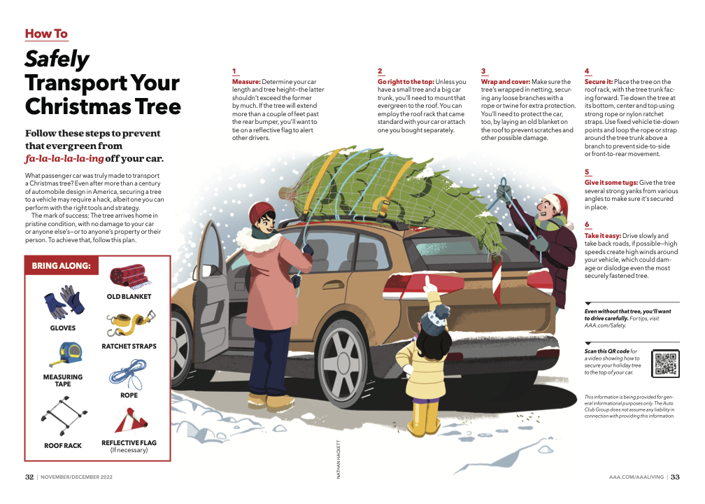 AAA Living Illustration / How to Safely Transport your Christmas Tree - Nathan Hackett - Anna Goodson Illustration Agency